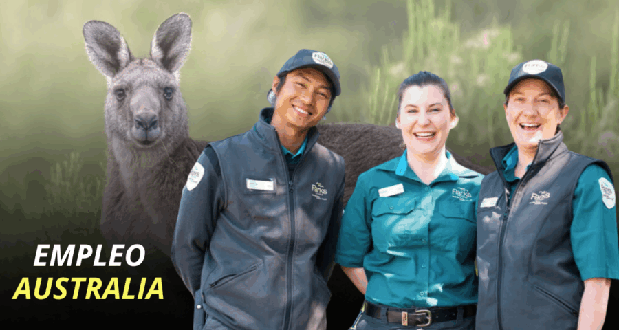 Australia está en busca de guardabosques a nivel internacional con sueldo de hasta $5000 dólares