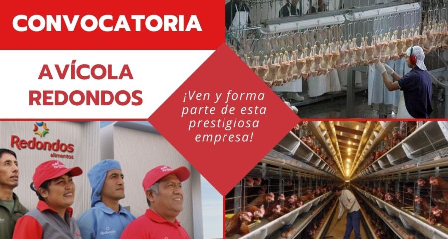 Avícola REDONDOS realiza nueva convocatoria para ser parte de su exitoso equipo