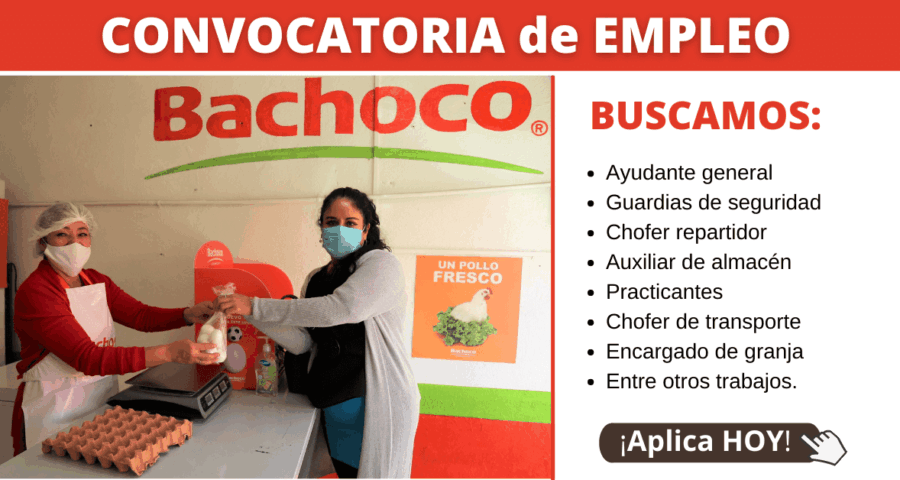 Bachoco industria avícola busca PERSONAL
