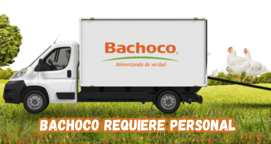 Bachoco requiere personal para diferentes areas