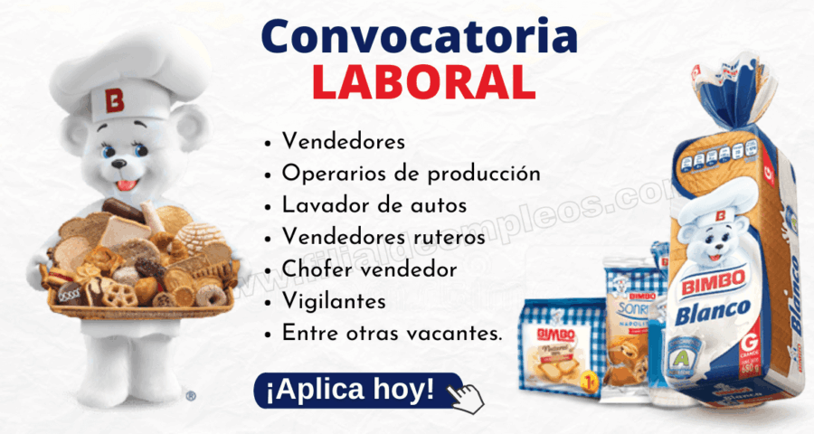 Bimbo empresa panificadores busca personal