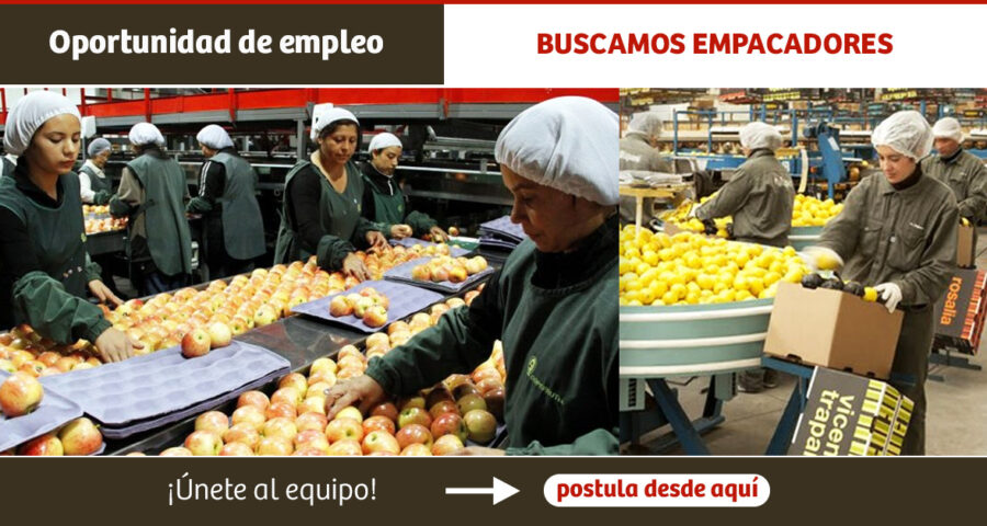 Bolsa de trabajo| Se solicita operarios de empaquetado para el rubro industrial