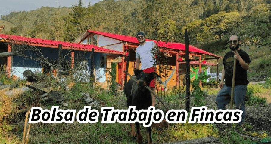 Bolsa de trabajo en Fincas