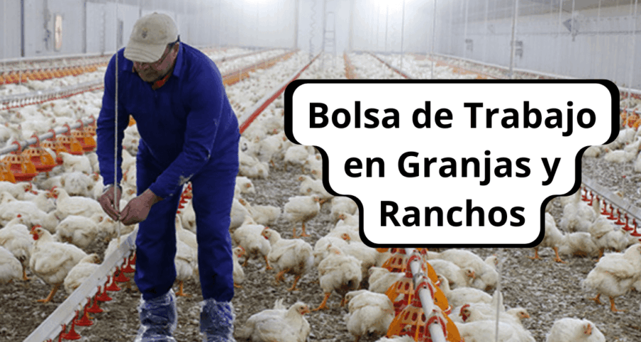 Buscamos personal para cuidado de Granjas y Ranchos
