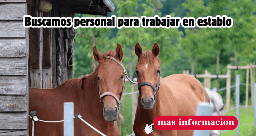 Buscamos personal para trabajar en establo