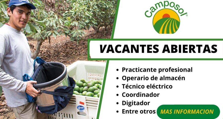 CAMPOSOL -Lanza nuevas vacantes disponibles