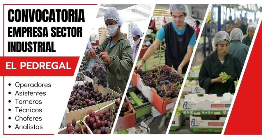 Compañía exportadora de uvas EL PEDREGAL requiere de nuevo personal
