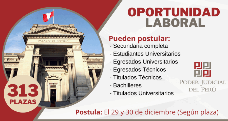 Convocatoria Laboral Poder Judicial: 313 Plazas - Asistente Social, Administración, Computación, Otros