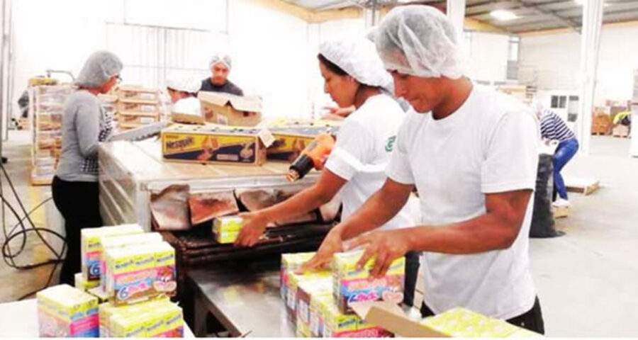 Convocatoria de empleo para empacadores de productos (Con y sin experiencia)