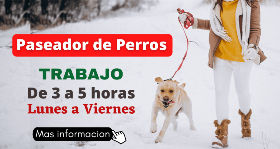 De 3 a 5 horas trabajo de Paseador de perros