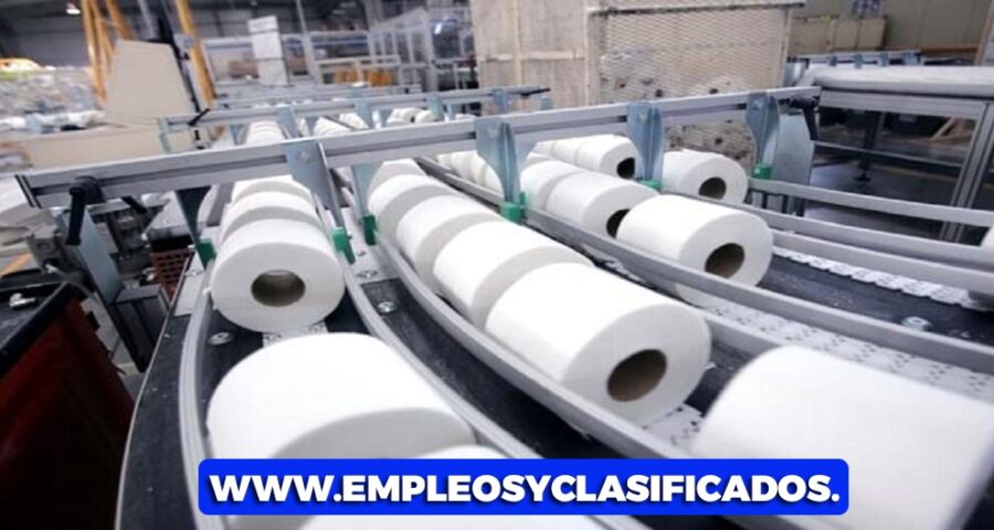 EMPACAR PAPEL DE BAÑO DESDE CASA