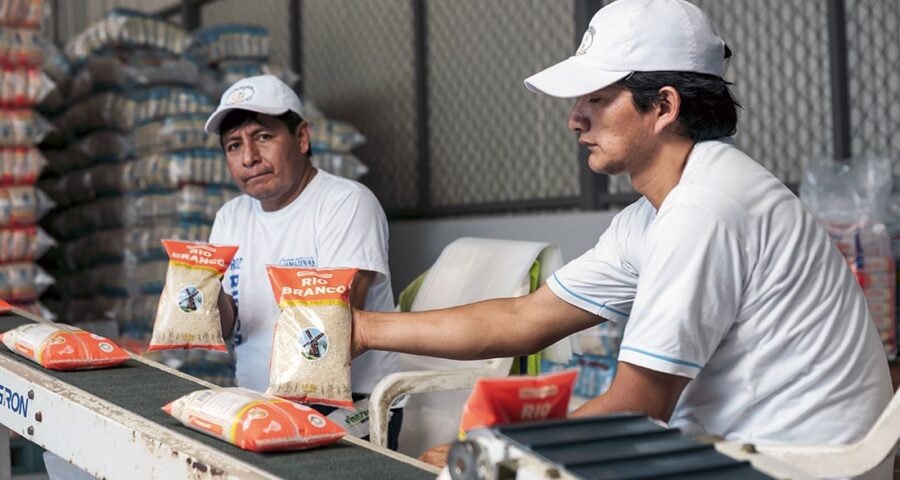 FABRICA SOLICITA EMPACADORES DE ARROZ|POSTULA