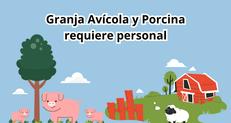 Granja Avícola y Porcina requiere personal
