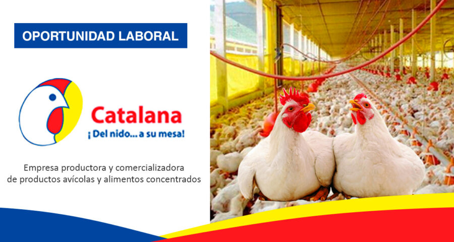 Granja Catalana está ofreciendo nuevos puestos de trabajo | Conócelos aquí