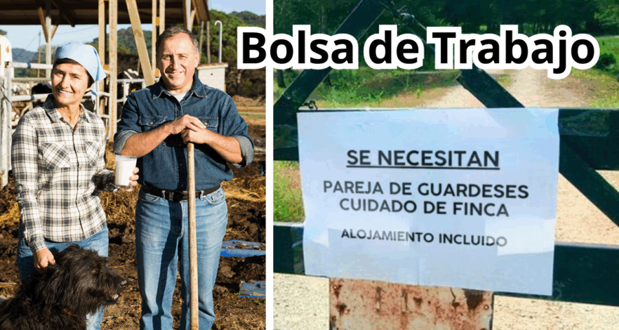 Nuevas oportunidades de Trabajo para Cuidar casas campo