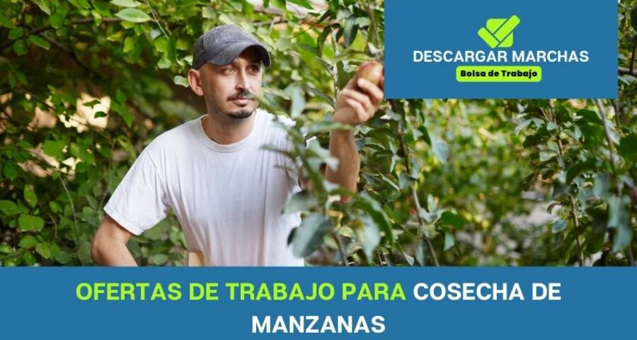 Ofertas de trabajo en cosecha de manzana