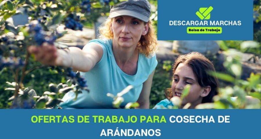Ofertas de trabajo para cosecha de arándanos