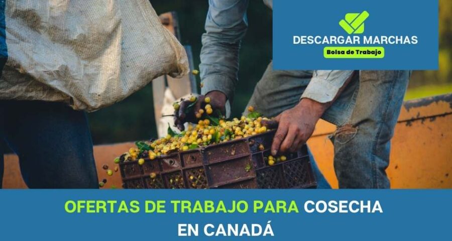 Ofertas de trabajo para cosechar en Canadá