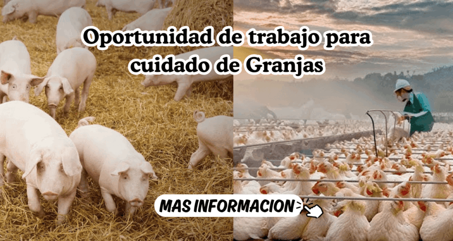 Oportunidad de trabajo para cuidado de Granjas