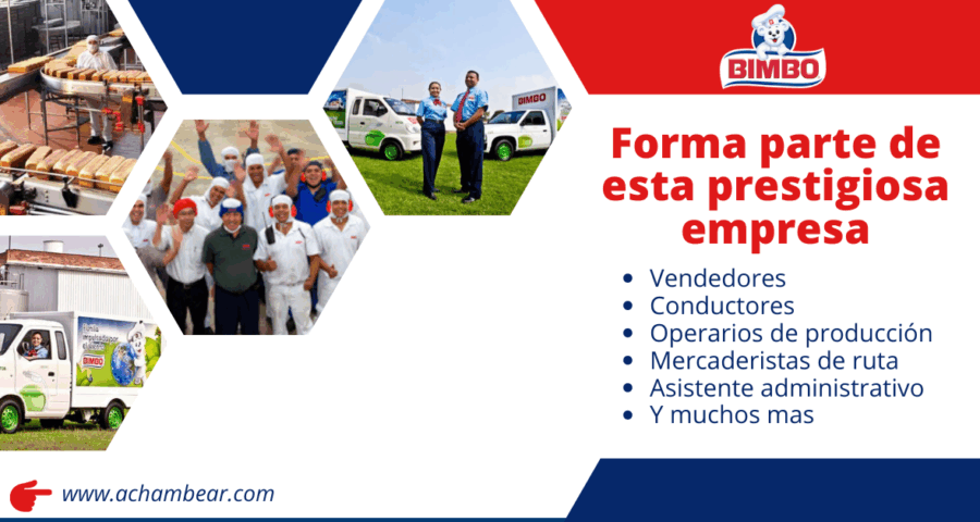 Panificadora BIMBO abre su reciente convocatoria para nuevos postulantes