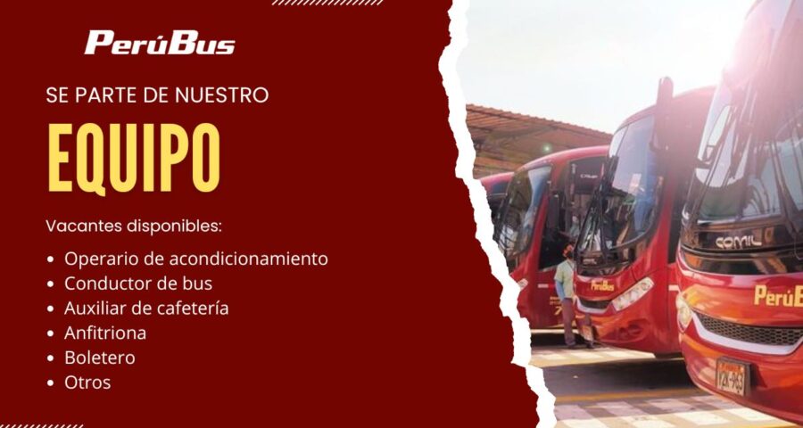 Perú Bus Convocatoria de Trabajo para Conductores y Choferes