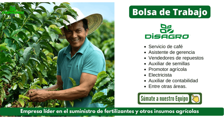 Se busca nuevos talentos para trabajos en - Disagro