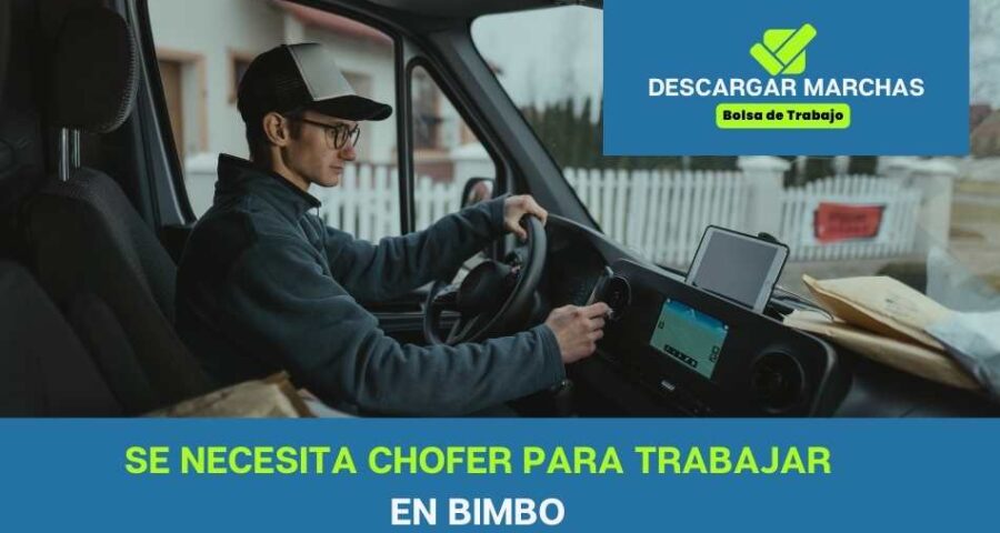 Se necesita chofer para trabajar en Bimbo