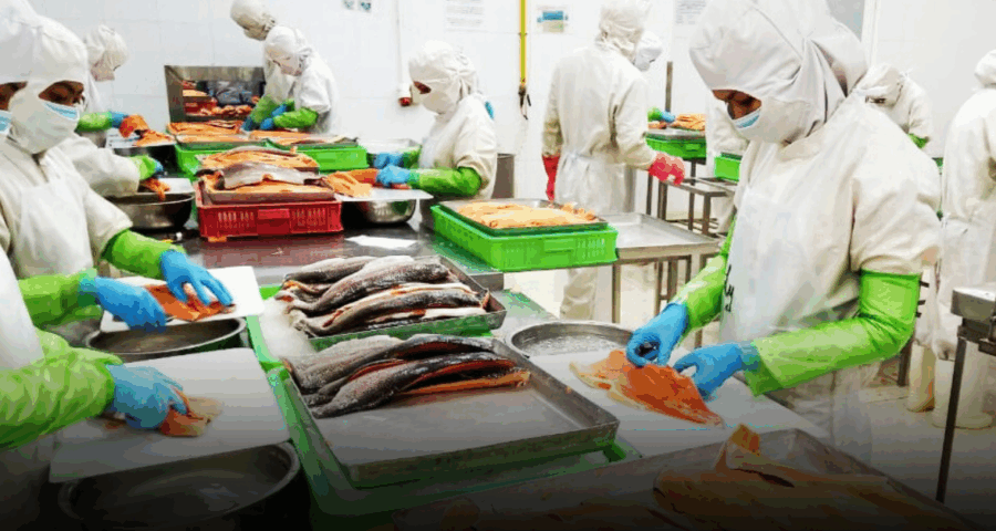 Se necesita personal con 6 meses de experiencia para seleccionar pescados