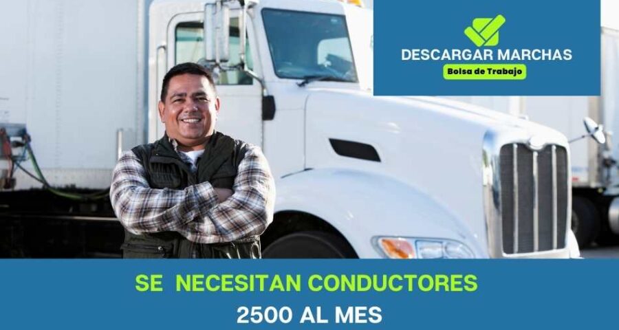 Se necesitan conductores 2500 euros al mes