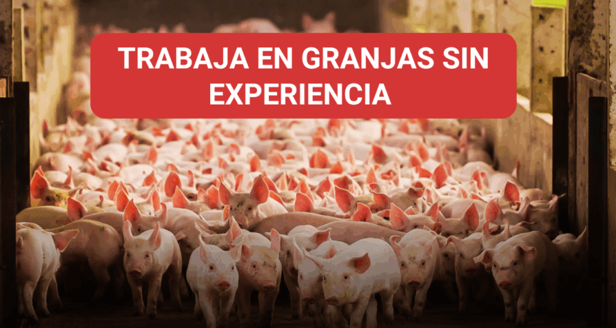 Trabajo en granjas sin experiencia a nivel nacional e internacional