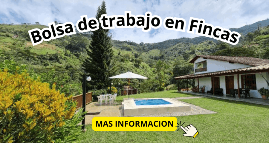 Trabajos en el cuidado de fincas y casas de campo