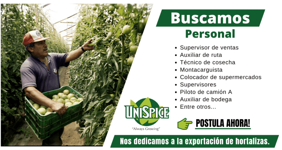 Unispice empresa exportadora requiere personal